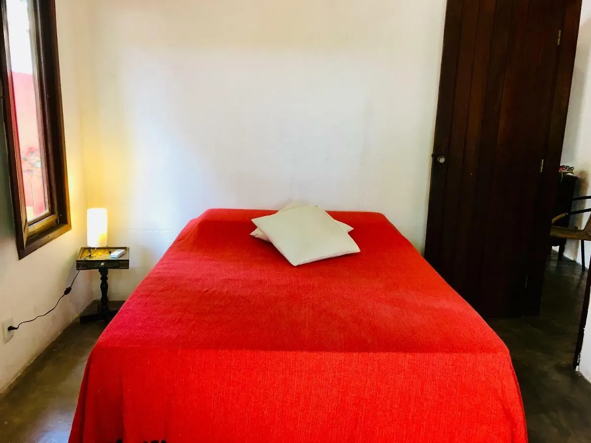 פורטו סגורו Salamandra Guest House אורחן